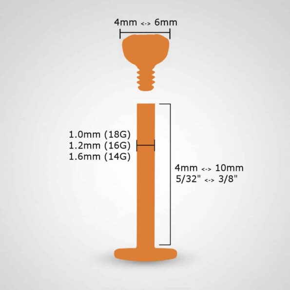 labret-trinity-measurement